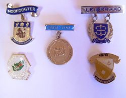 Lapel Badges - School Badges - School Pins
