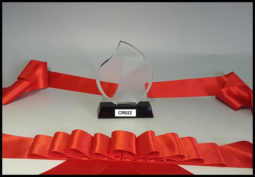 crystal sports trophies corporate trophy awards store engraving South Africa