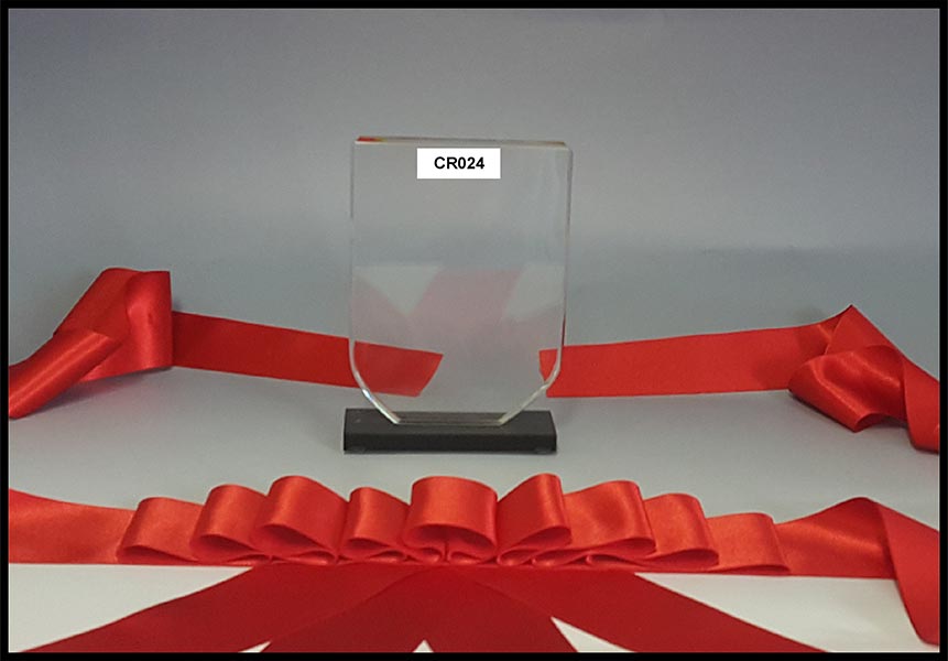 crystal sports trophies corporate trophy awards store engraving South Africa