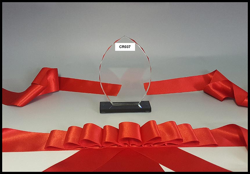 crystal sports trophies corporate trophy awards store engraving South Africa