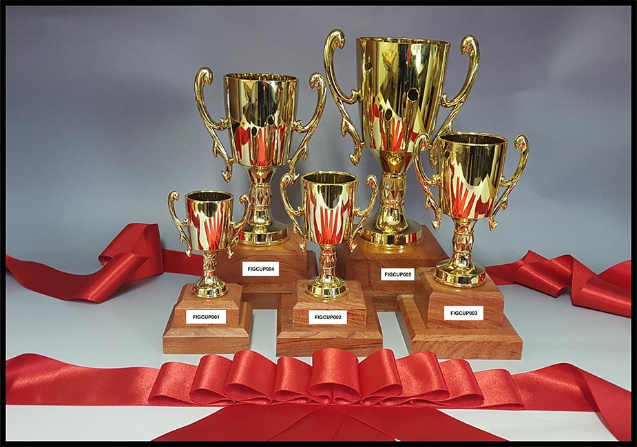 trophy cups sports corporate awards resin trophy store South Africa