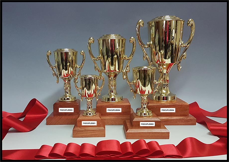 trophy cups sports corporate awards resin trophy store South Africa