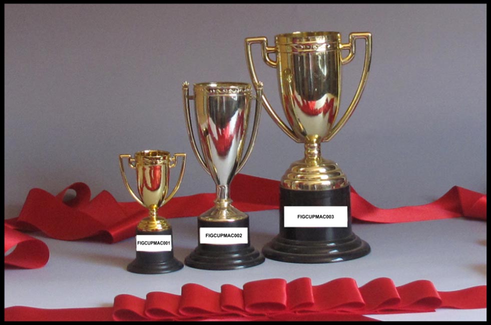 trophy cups sports corporate awards resin trophy store South Africa
