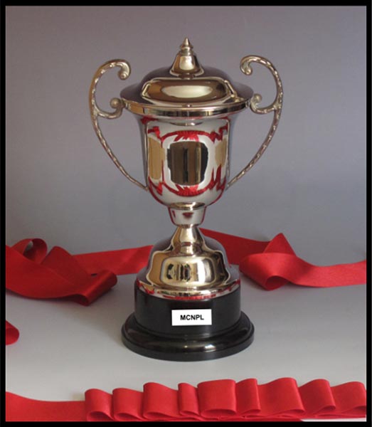 trophy cups sports corporate awards resin trophy store South Africa