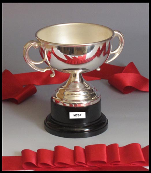 trophy cups sports corporate awards resin trophy store South Africa